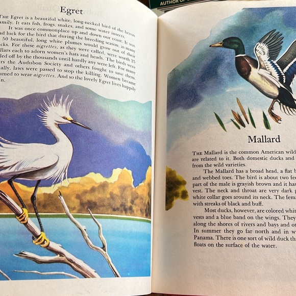 Vintage The Wonders of Nature Hardcover Book 1974 Coffee Table Book oversized - Picture 8 of 16